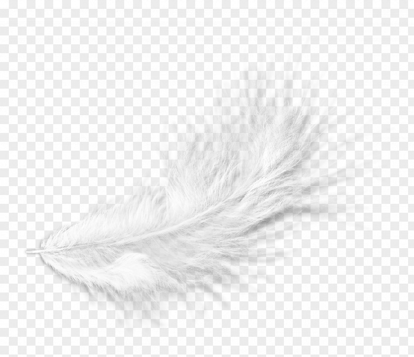 Floating White Feather Hair Black Pattern PNG