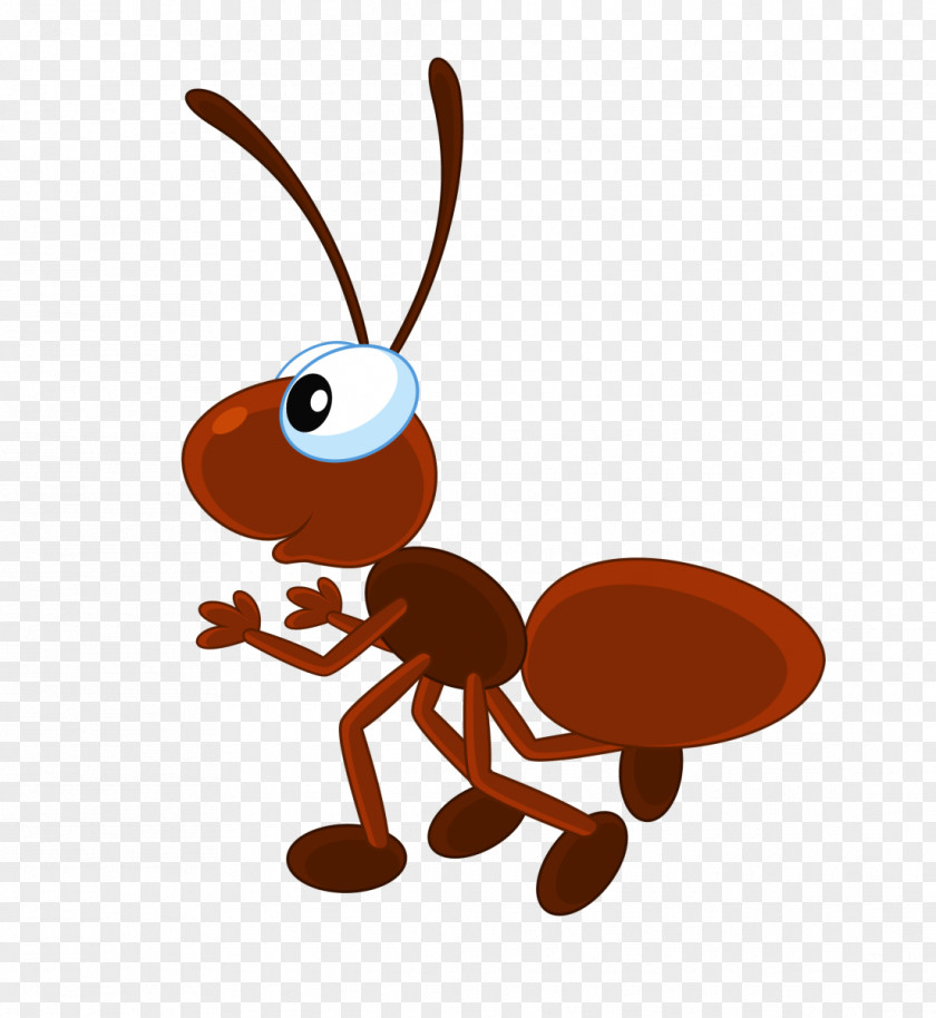 Insects Ant Clip Art PNG