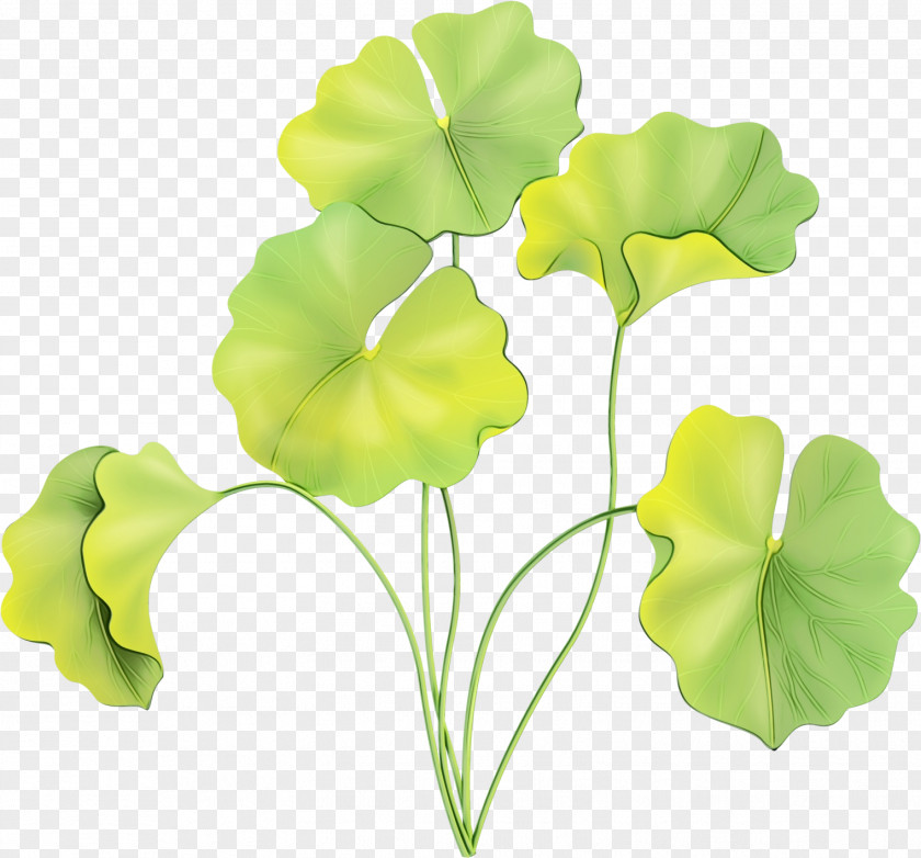 Arum Family Artificial Flower Petal Cut Flowers Plant Stem Leaf Plants PNG