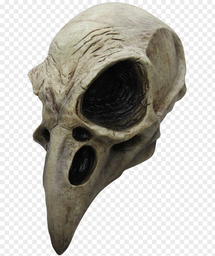 Bird Crows Skull Mask Halloween Costume PNG