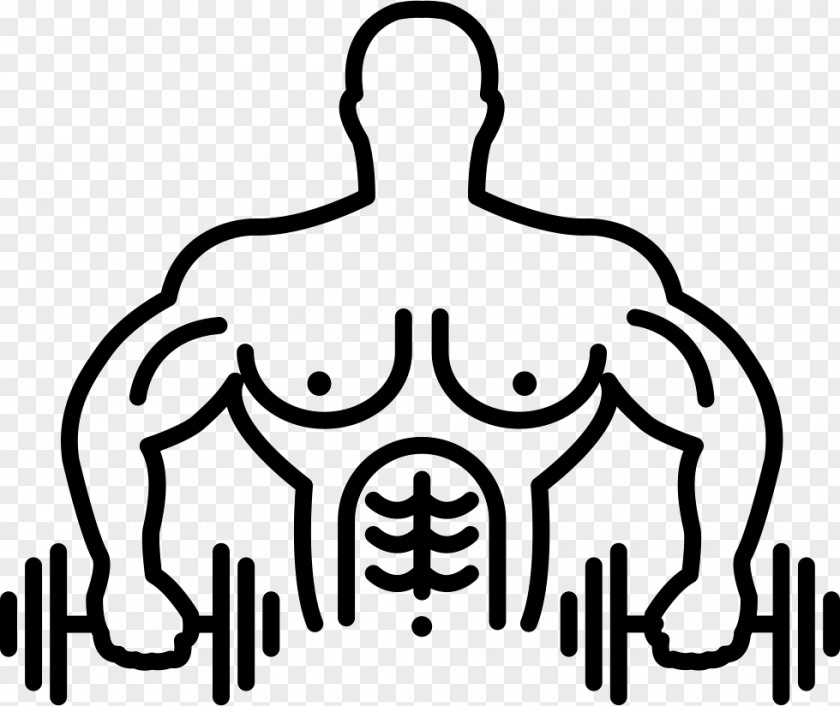 Bodybuilding Human Body Biceps Clip Art Muscle PNG