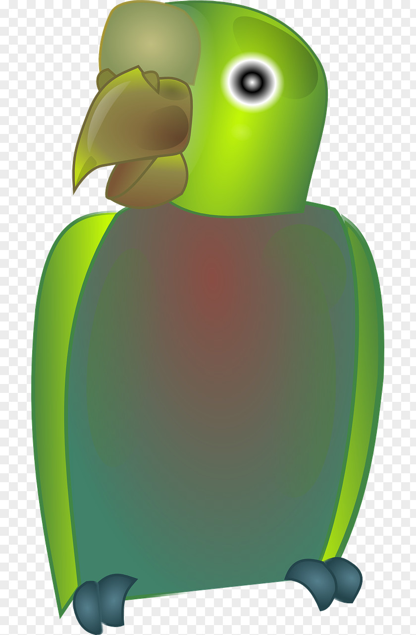 Green Parrot Bird Clip Art PNG