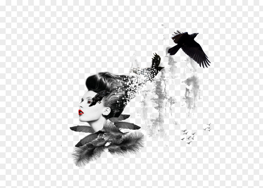 Ink Crow Queen Black And White Painting PNG