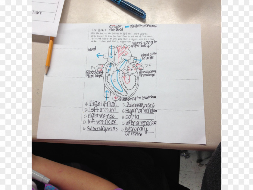 Science Biology Cell Life Human Body PNG