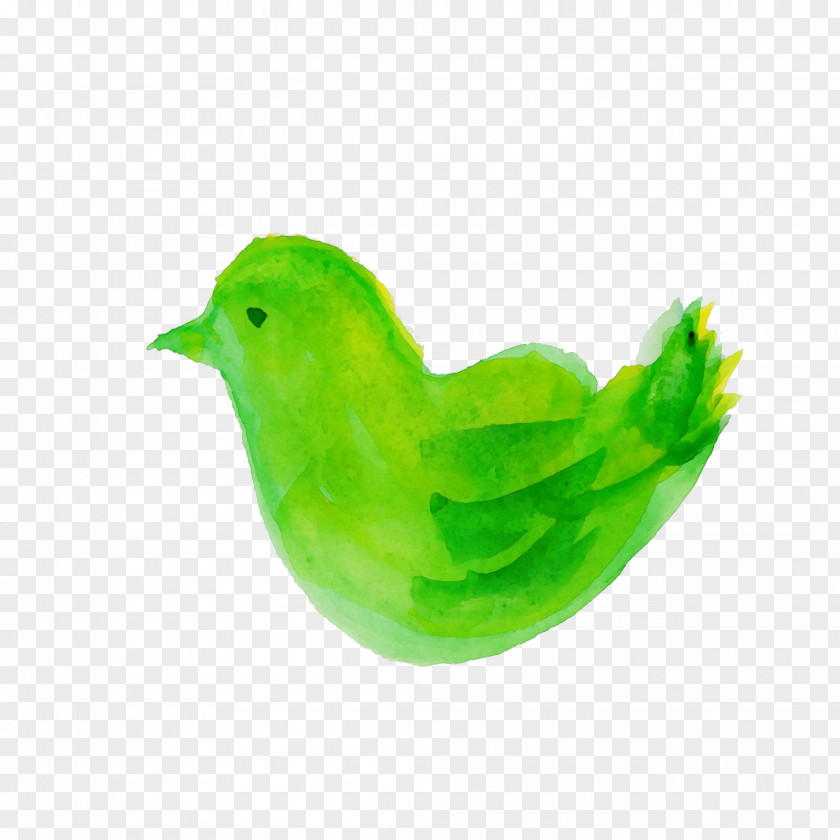 Feather PNG