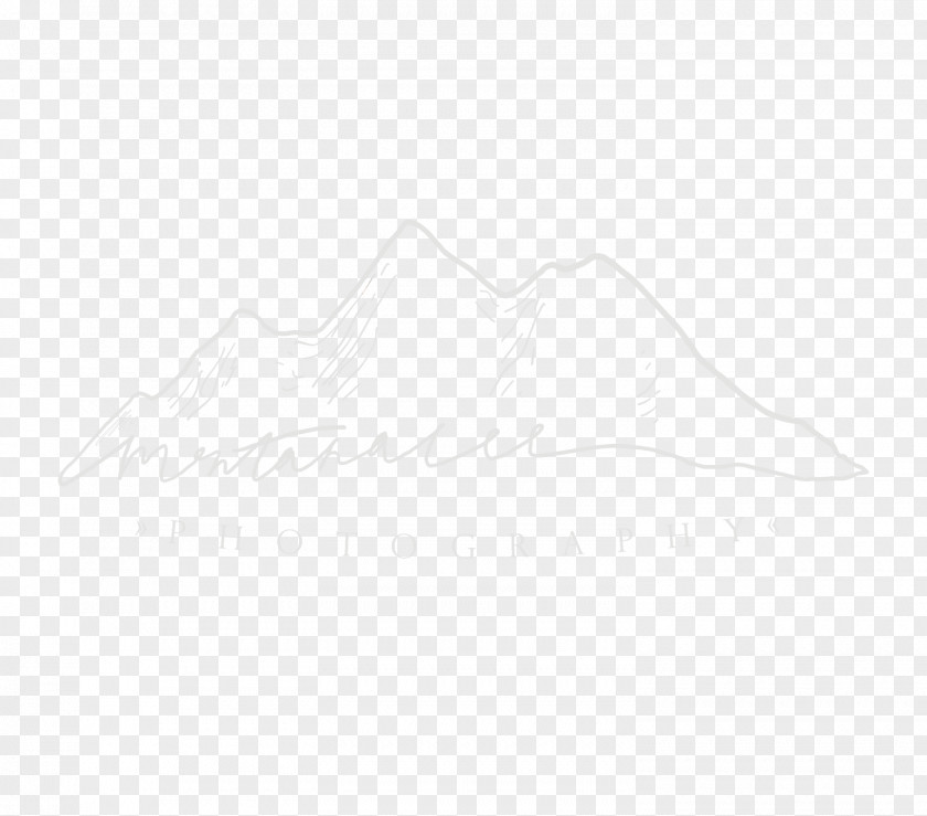 Foggy Morning Forest Line Art Drawing /m/02csf Graphics Shoe PNG