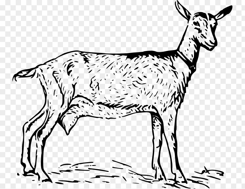Goat Download Clip Art PNG