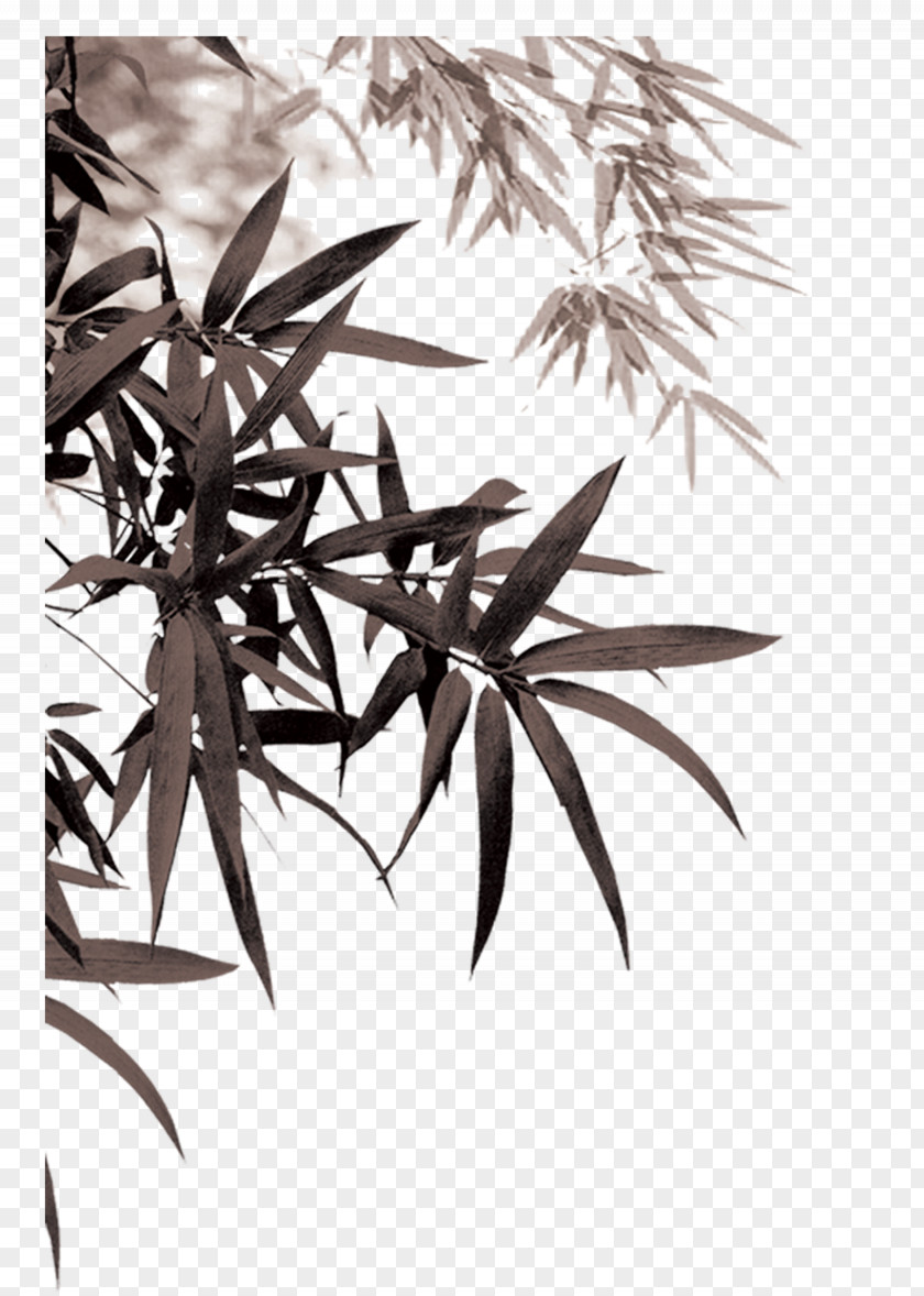 Ink Bamboo Leaves Download PNG