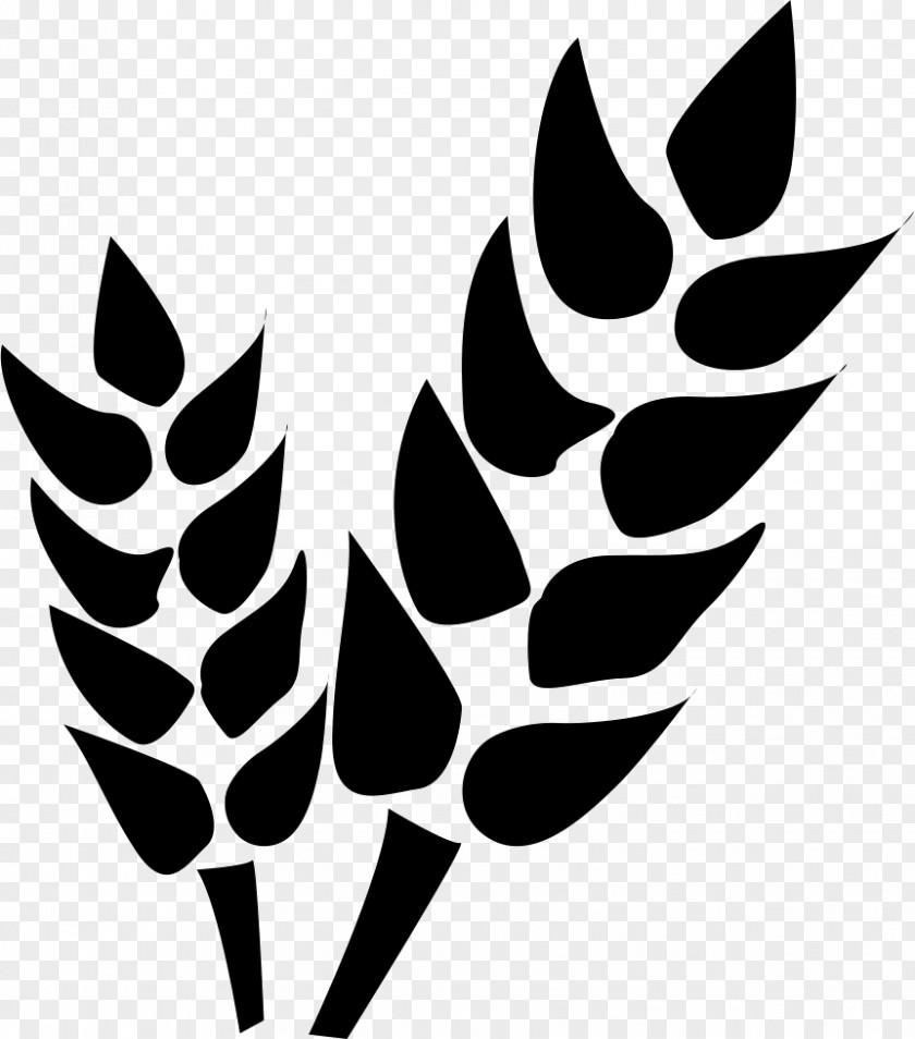 Agriculture Icon Farm Vector Graphics PNG