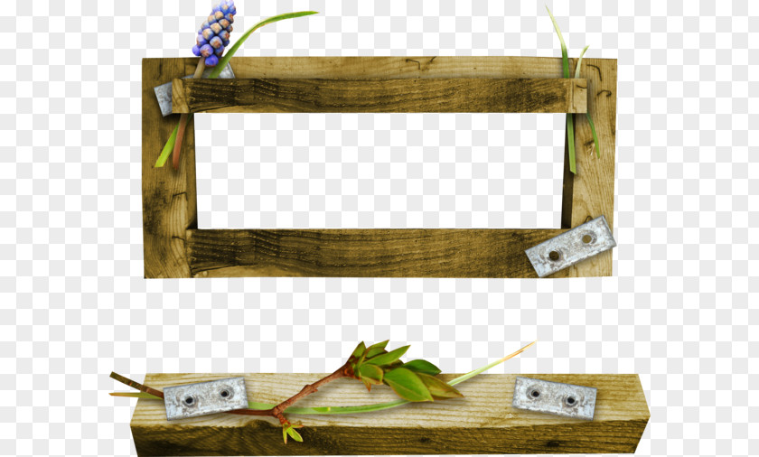 Picture Frames Film Frame Photography PNG