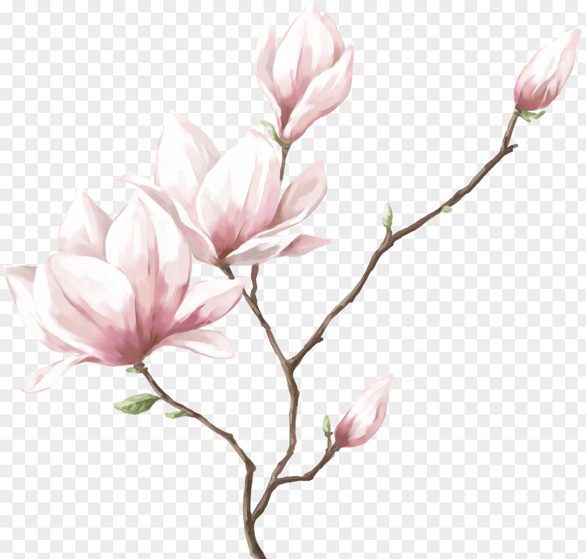 Real Flower Watercolor Painting Drawing PNG