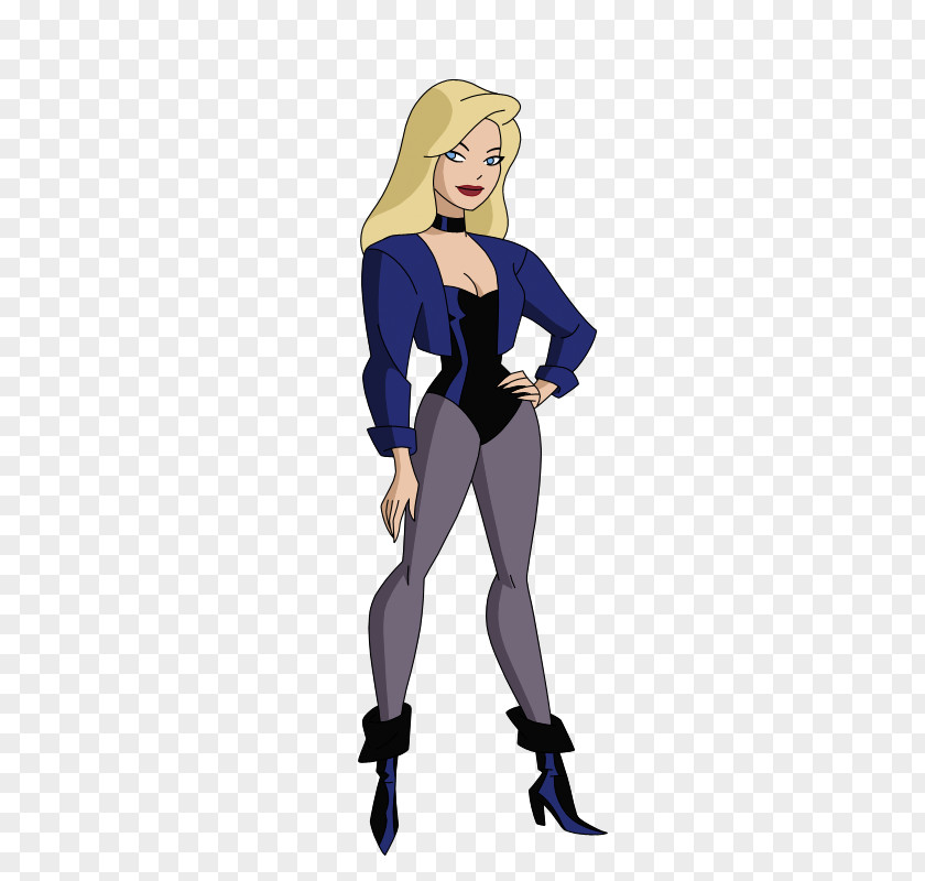 Black Canary Cosplay Justice League Unlimited Green Arrow Zatanna Huntress PNG