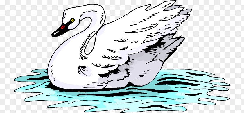 Duck Cygnini Bird Clip Art PNG