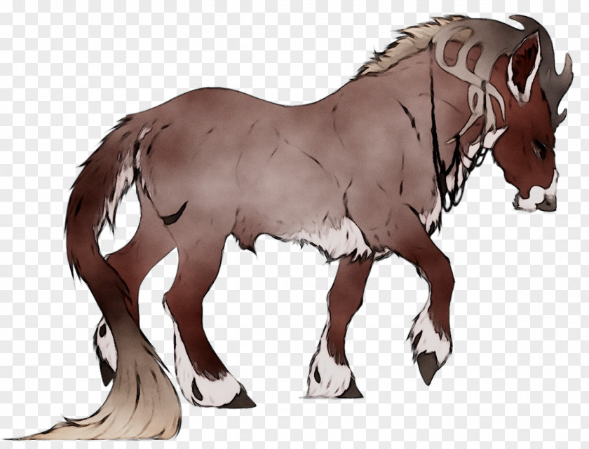 Mustang Foal Mare Stallion Rein PNG