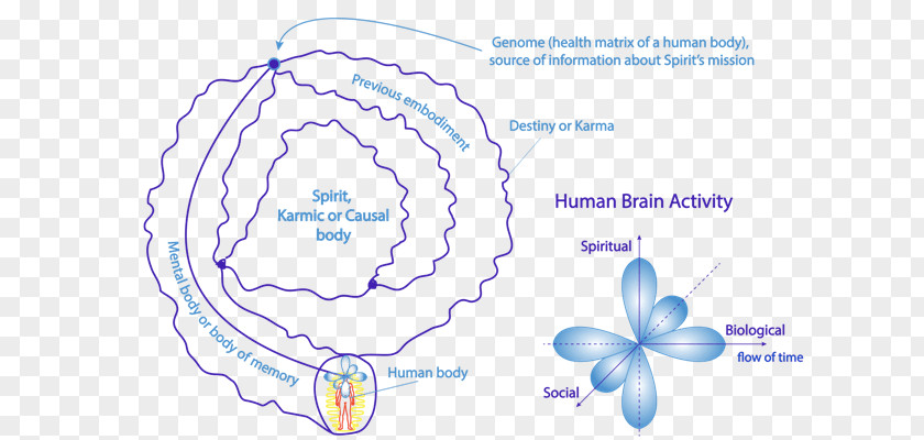 Self Consciousness Subpersonal Chakras Higher Reiki PNG