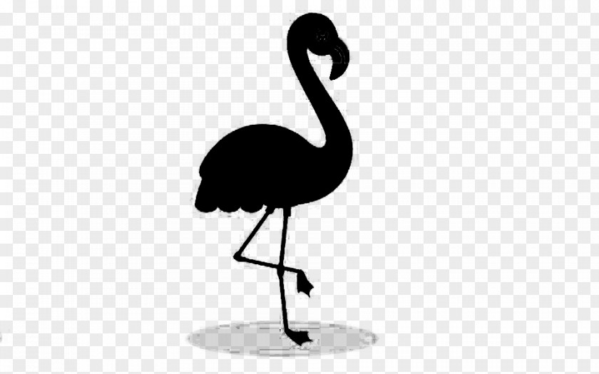 Common Ostrich Bird Crane Beak Product Design PNG