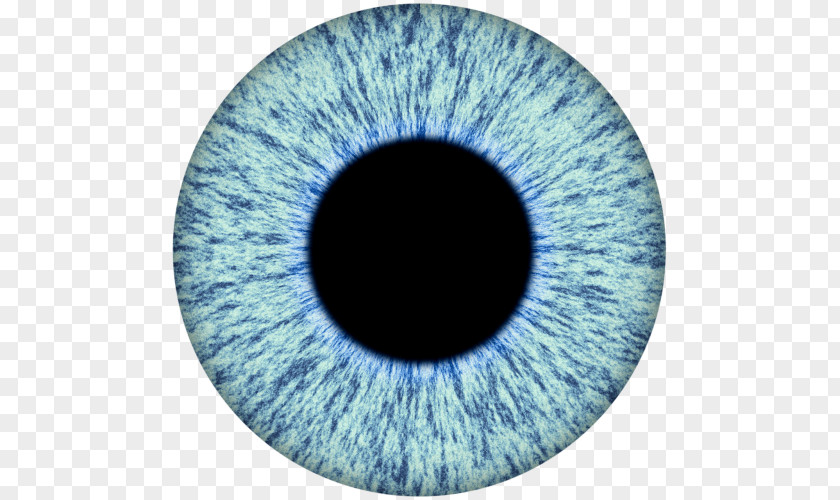 Eye Iris Human Pupil Color PNG