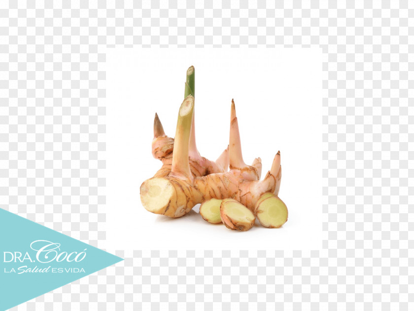 Ginger Galangal Root Vegetable Profit PNG