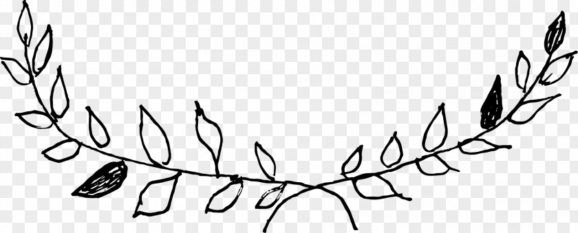 Hand Drawn Wreaths Twig Plant Stem Line Art Clip PNG