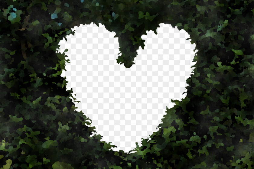 Heart Leaf Green Sky Tree PNG