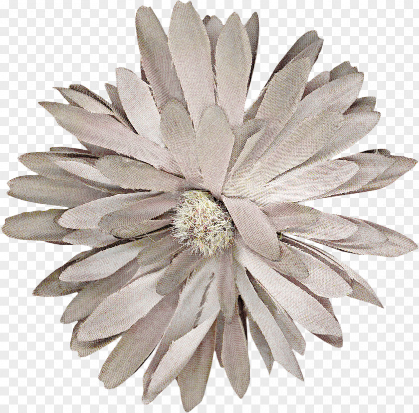 Log Texture Cut Flowers Petal PNG