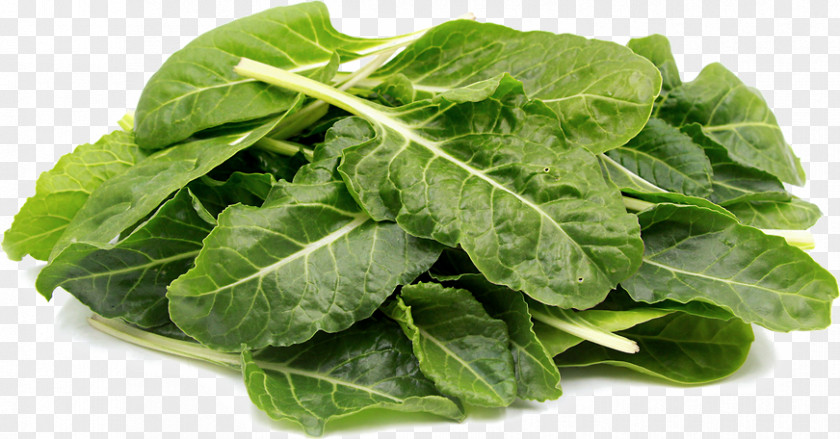 Vegetable Chard Greens Spinach Recipe PNG
