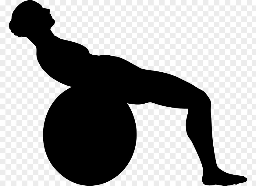 Exercise Physical Balls Silhouette Clip Art PNG