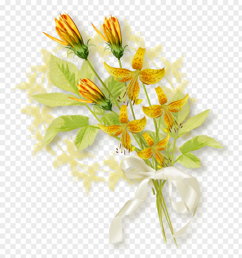 Flower Desktop Wallpaper Magnifying Glass Blog Clip Art PNG