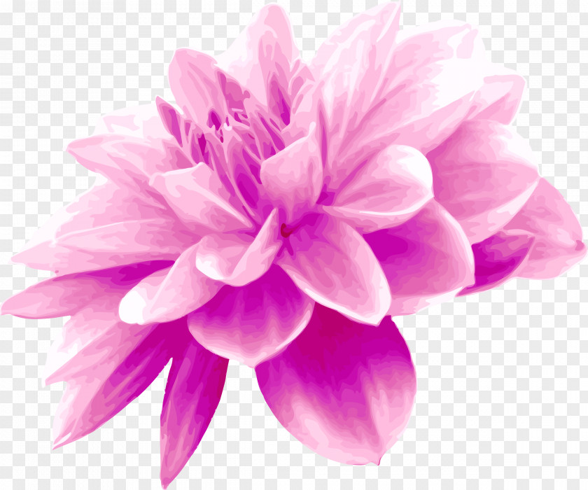 Flowers Pink Clip Art PNG