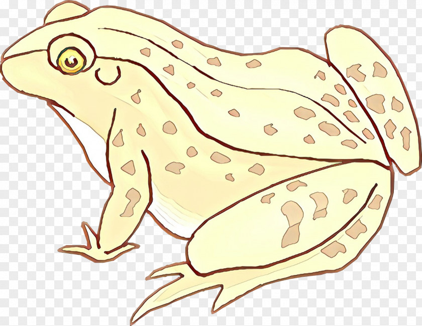 Hyla Tree Frog Wood True Anaxyrus PNG