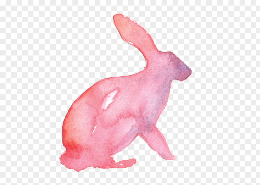 Rabbit Domestic Easter Bunny Watercolor Painting Drawing PNG
