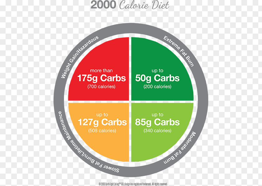Weight Loss Success Calorie Wheel Carbohydrate Food PNG