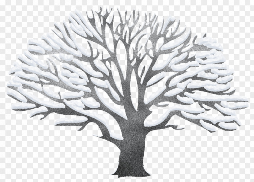 Winter Snowy Black Tree Picture Clip Art PNG