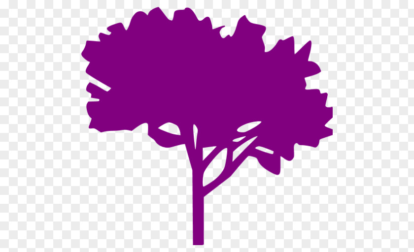 60% Tree Arborist PNG