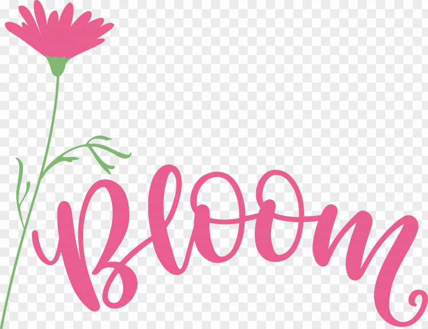 Bloom Spring Flower PNG