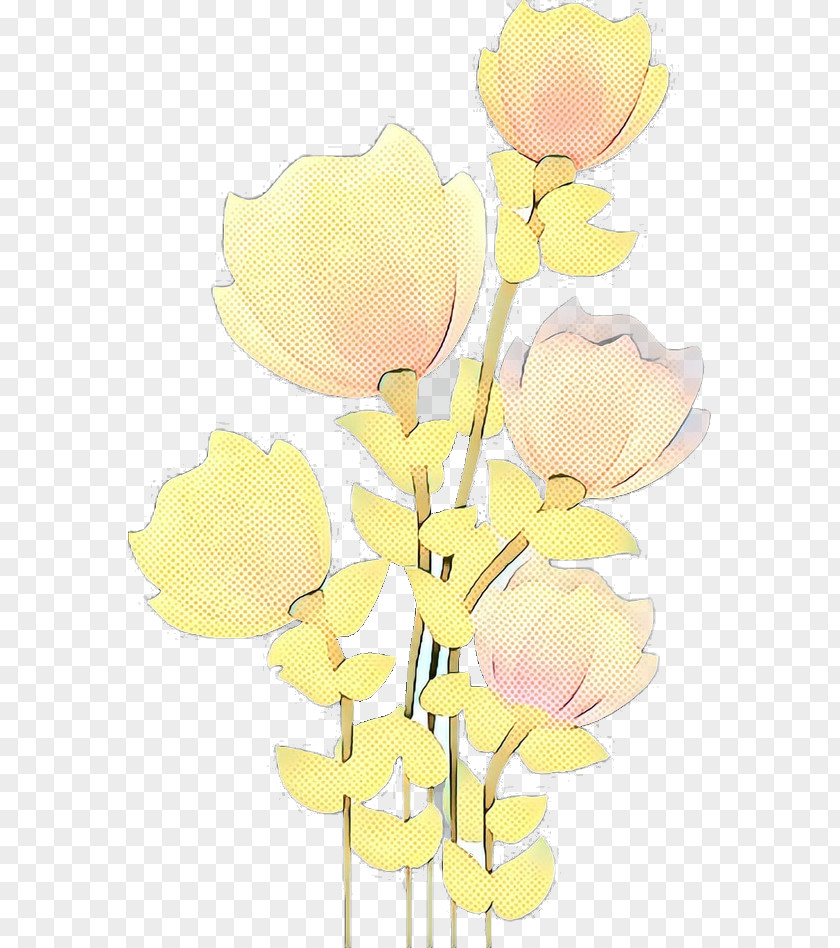 Bouquet Tulip Floral Flower Background PNG