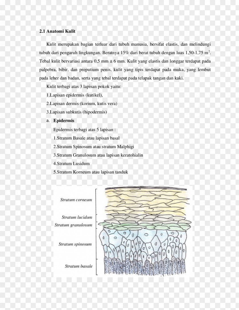 Design Document Line Pattern PNG