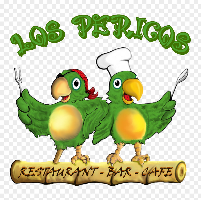 Parrot Los Pericos Restaurant Bar Cafe DeviantArt PNG