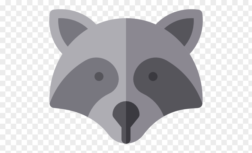 Raccoon PNG