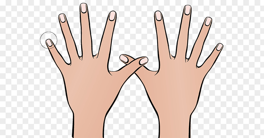Sign Language Arm Stop PNG