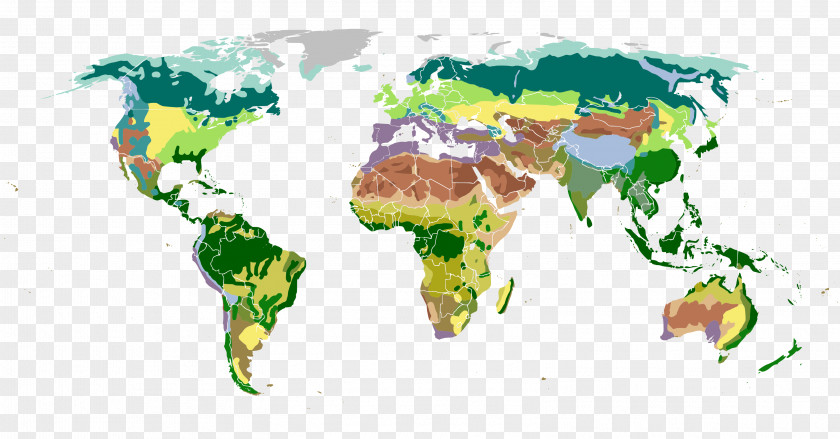 World Map Biome Vegetation PNG