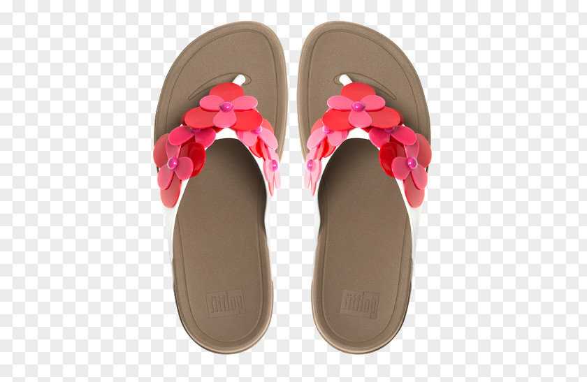 Bong Hoa Flip-flops Blucher Shoe Slipper Sandal PNG