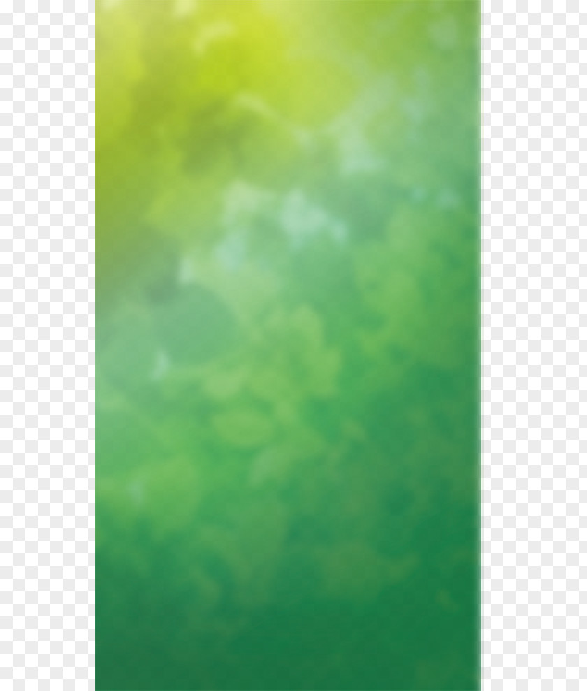 Cartoon Green Background Download Wallpaper PNG