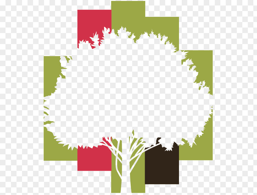 Foret Tropical Forest Sustainable Management Logo Tree PNG