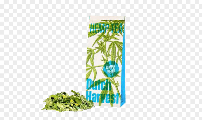 Hemp Tea Cannabis Sativa TeaTea Masala Chai Dutch Harvest PNG