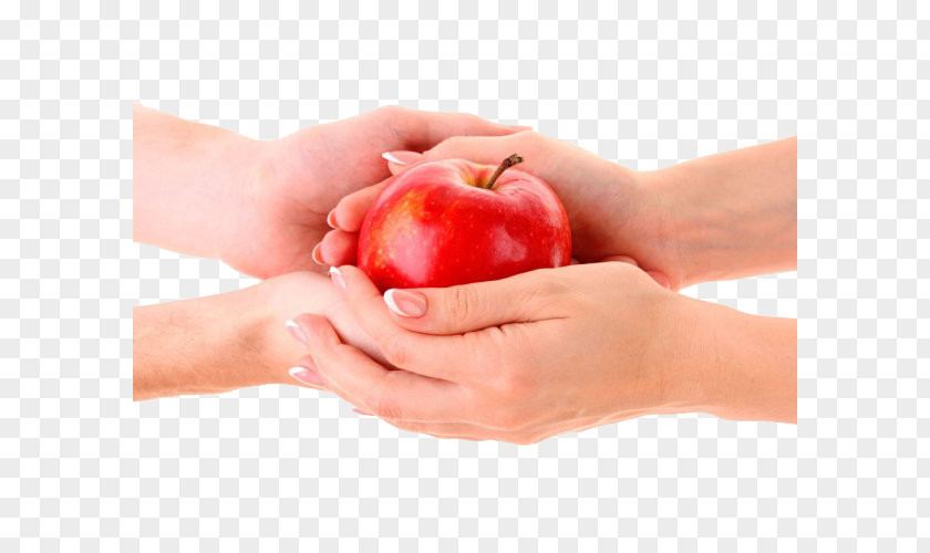 Holding A Red Apple Food Fruit PNG