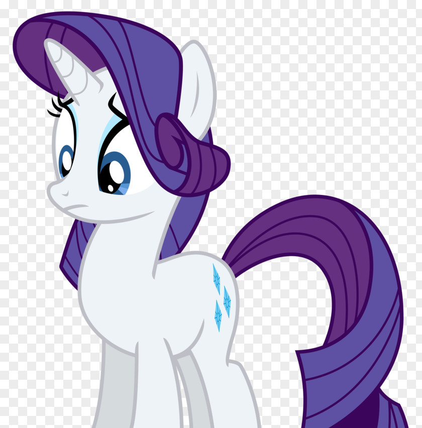 My Little Pony Rarity Rainbow Dash Twilight Sparkle Pinkie Pie PNG