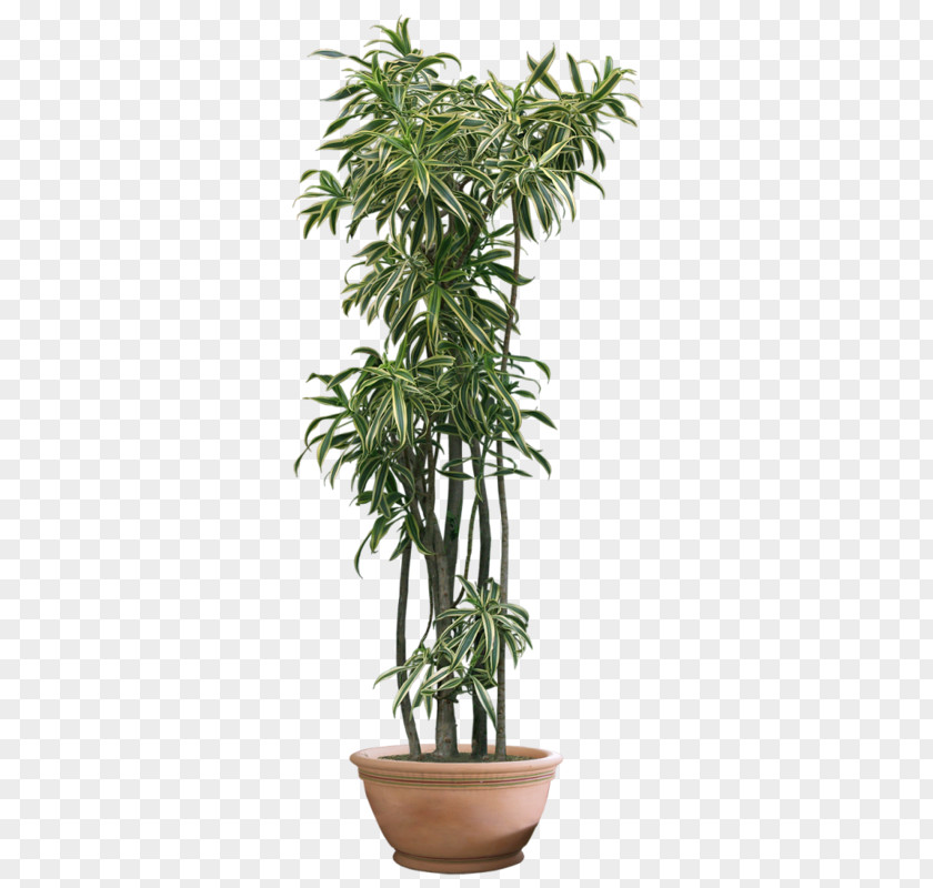 Pot Plants Plant Loveseat PNG