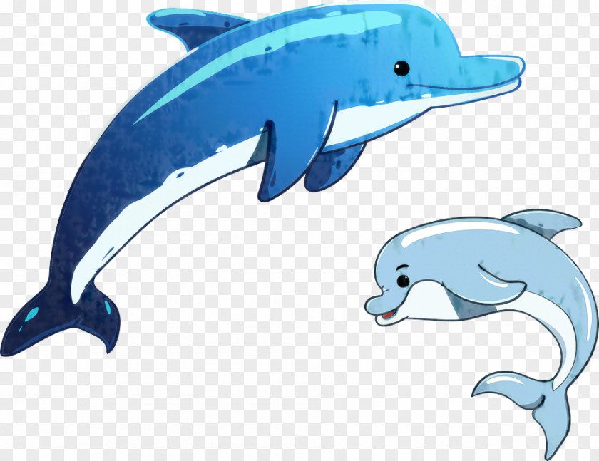 Vector Graphics Illustration Dolphin Cartoon Clip Art PNG