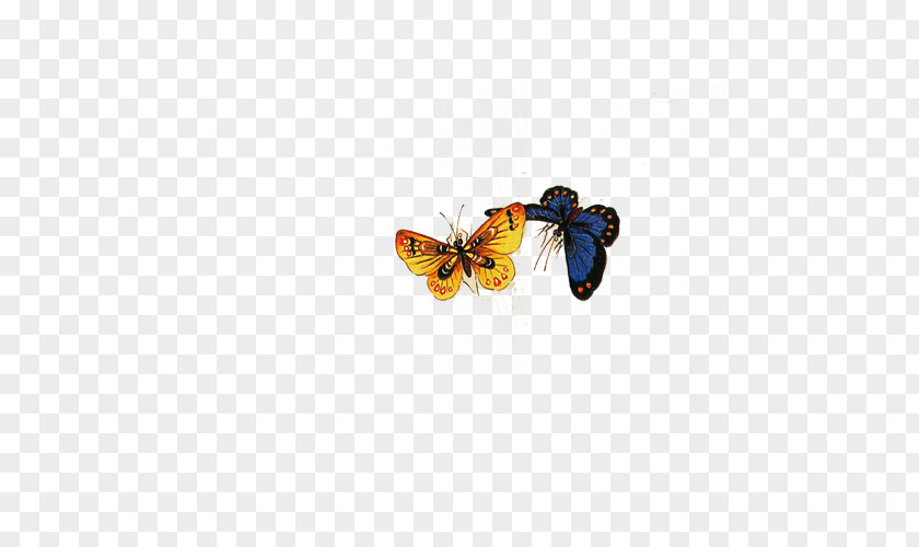 Butterfly Monarch Download PNG